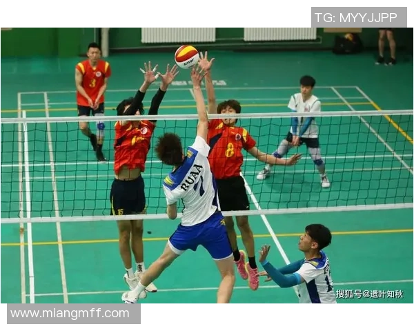 北京排球队比赛经验分享与启示聚焦排球运动发展新视角
