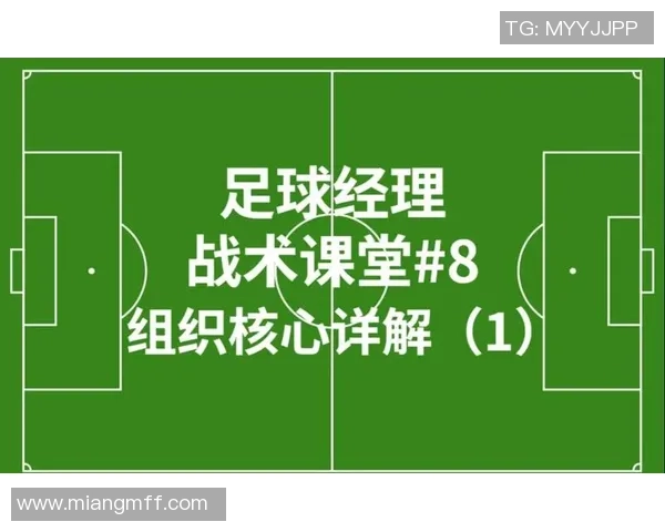 南京足球队的节奏解析与未来发展展望