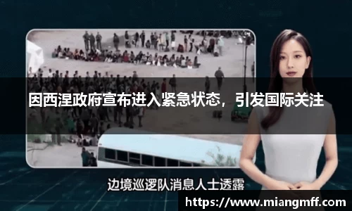 因西涅政府宣布进入紧急状态，引发国际关注