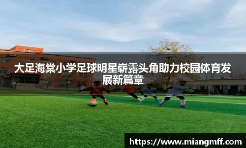 星空·综合体育官方网站